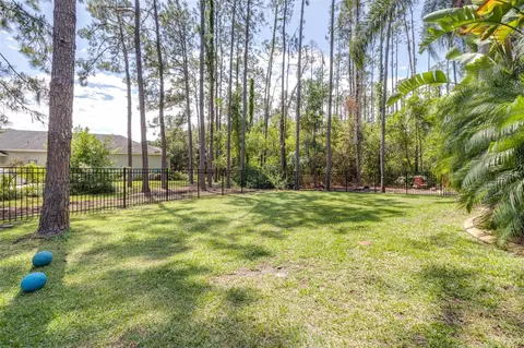 Exterior - 313 Pine Bluff Dr, Lutz, FL 33549 photo 14 of 22