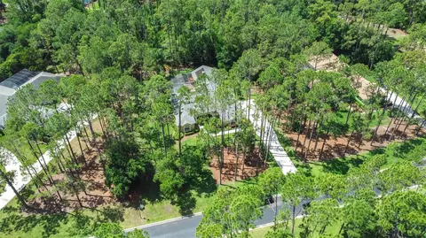 View/Area - 313 Pine Bluff Dr, Lutz, FL 33549 photo 1 of 6