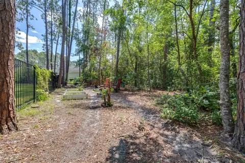 Exterior - 313 Pine Bluff Dr, Lutz, FL 33549 photo 18 of 22