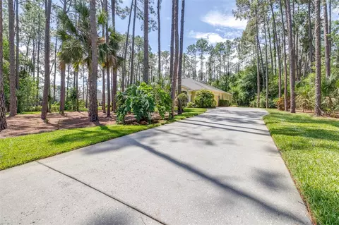 Exterior - 313 Pine Bluff Dr, Lutz, FL 33549 photo 5 of 22