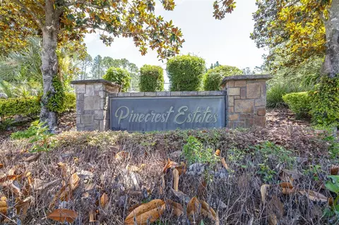 View/Area - 313 Pine Bluff Dr, Lutz, FL 33549 photo 6 of 6