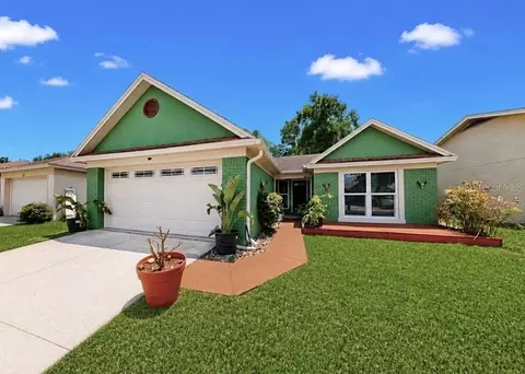 1125 Hardwood Dr, Valrico, FL 33596