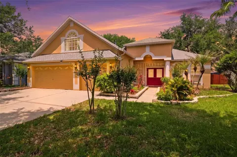 10209 Shadow Branch Dr, Tampa, FL 33647