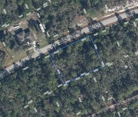 3122 Coolidge Ave, Lake Placid, FL 33852