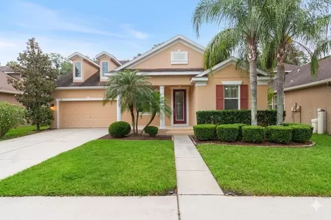 6936 Rocky Canyon Way, Tampa, FL 33625