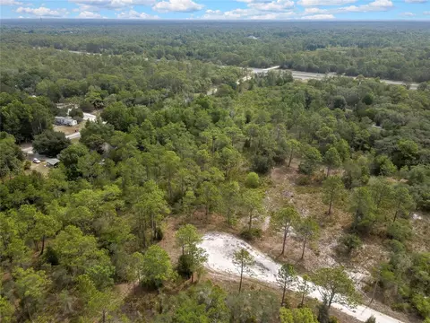 Parallel Road, Weeki Wachee, FL 34614 photo 5
