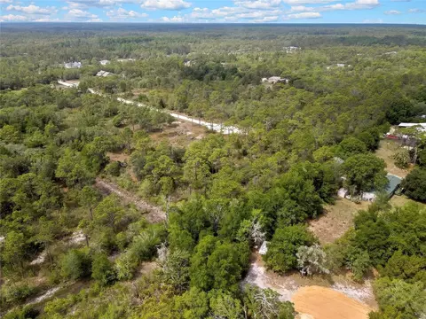 Parallel Road, Weeki Wachee, FL 34614 photo 8