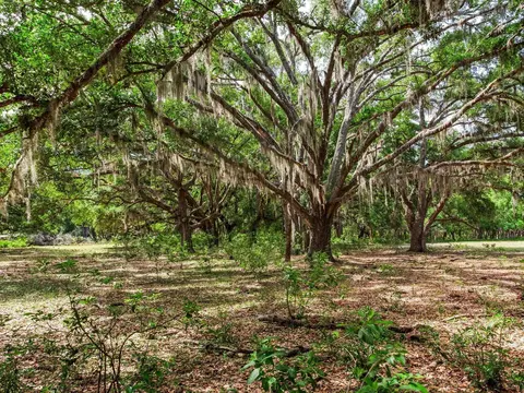 Undisclosed, Thonotosassa, FL 33592