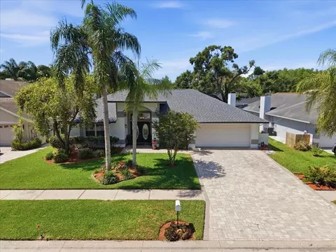 6512 Steeplechase Dr, Tampa, FL 33625