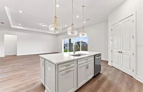 Other - 17056 Canary Trl, Parrish, FL 34219 photo 1 of 4