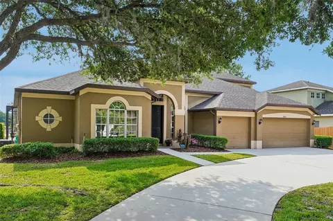 19117 Mandarin Grove Pl, Tampa, FL 33647