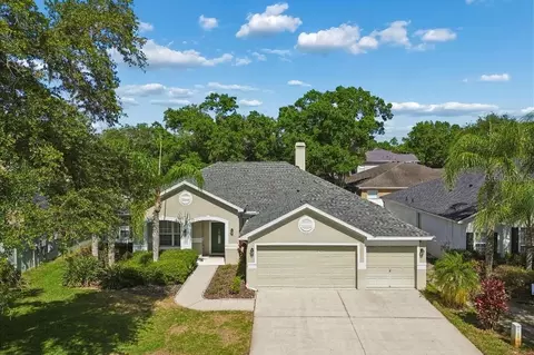 15217 Octavia Ln, Odessa, FL 33556