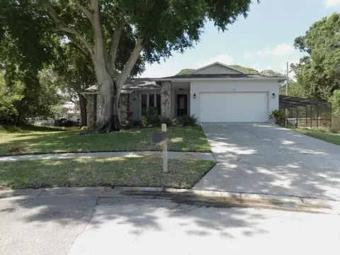1421 Ironworks Ln, Tarpon Springs, FL 34689