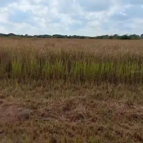 Metheny Rd, Wauchula, FL 33873
