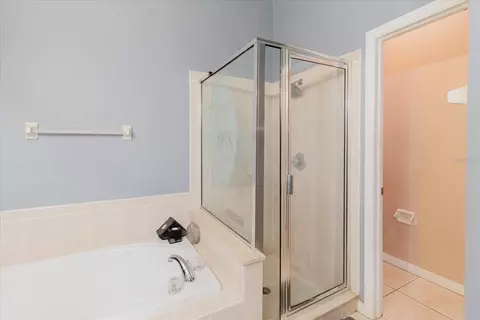 Bath - 9817 White Barn Way, Riverview, FL 33569 photo 3 of 5