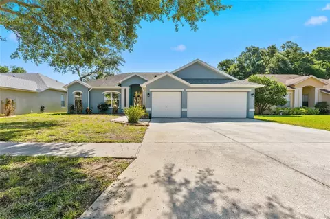 1115 Lumsden Trace Cir, Valrico, FL 33594