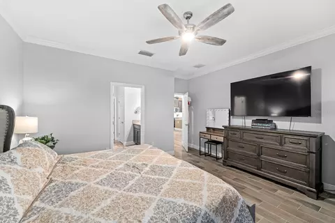 Bedroom - 11637 Tetrafin Dr, Riverview, FL 33579 photo 2 of 3