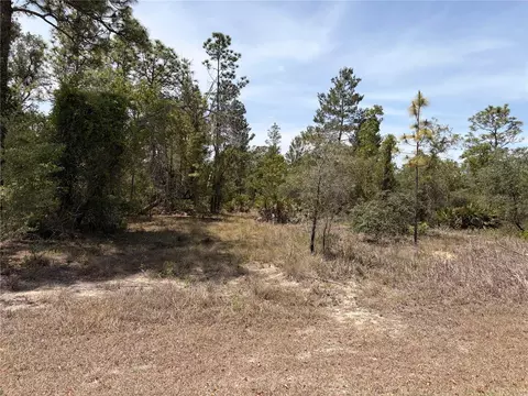 13230 Taft St, Brooksville, FL 34613