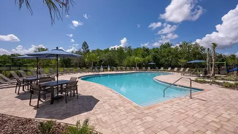 13818 Sawmill St, Parrish, FL 34219 photo 36