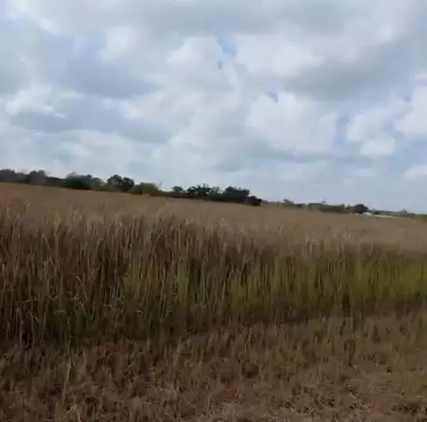 Metheny Rd, Wauchula, FL 33873