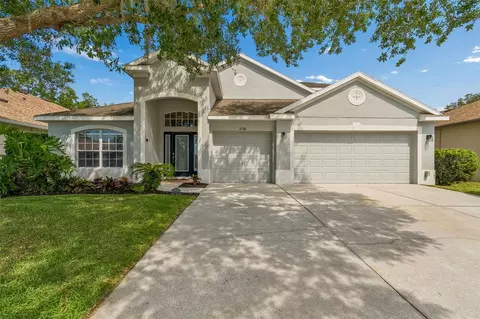 6736 Pine Springs Dr, Wesley Chapel, FL 33545