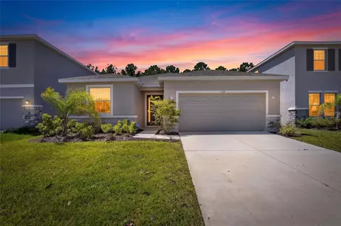 152 Bright Ibis Ave, Apollo Beach, FL 33572