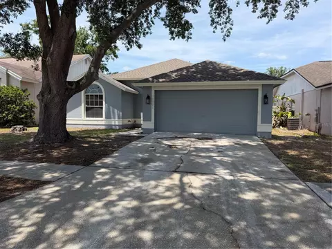 10920 Fenway Glen Ct, Riverview, FL 33578