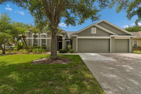 10243 Shadow Branch Dr, Tampa, FL 33647