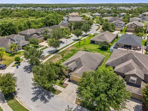 View/Area - 13181 Royal Pines Ave, Riverview, FL 33579 photo 1 of 8