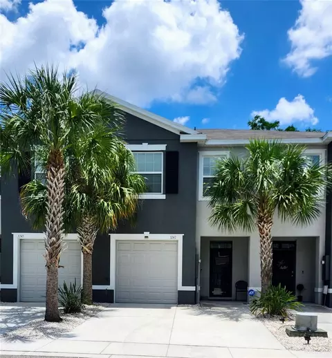 3247 Pleasant Willow Ct, Brandon, FL 33511