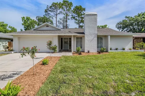 4109 Summerdale Dr, Tampa, FL 33624