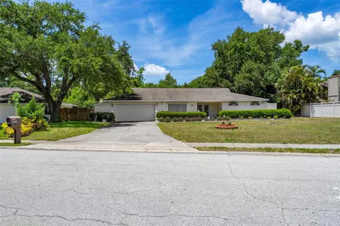 207 Dunbridge Dr, Palm Harbor, FL 34684