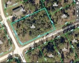 16200 Crane Rd, Weeki Wachee, FL 34614
