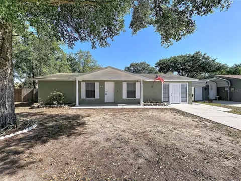 808 Falkirk Ave, Valrico, FL 33594