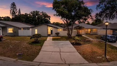 11005 Underwood Pl, Tampa, FL 33624