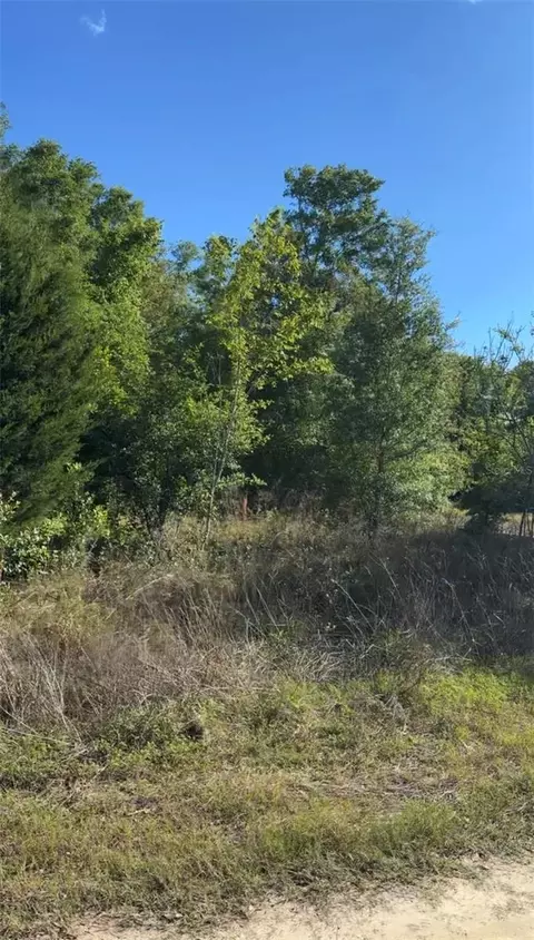 2405 Wilson St, Inverness, FL 34453