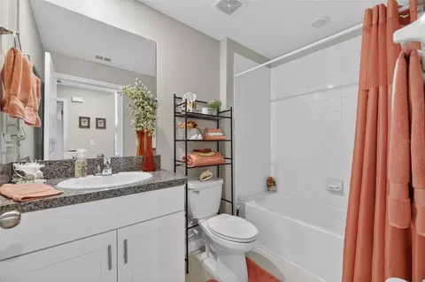 Bath - 10356 Blue Plume Ct, Riverview, FL 33578 photo 4 of 4