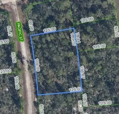 719 Pacific St, Lake Placid, FL 33852
