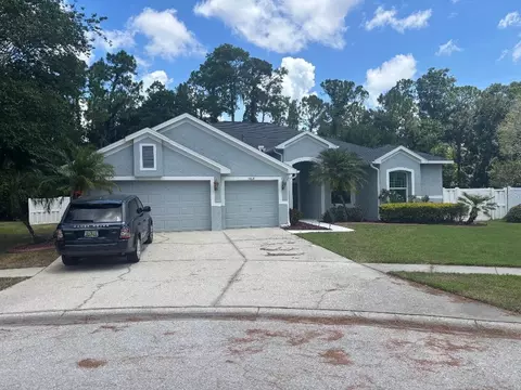 14618 Fetterbush Way, Tampa, FL 33626