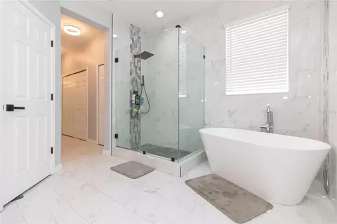 Bath - 11334 Bridge Pine Dr, Riverview, FL 33569 photo 2 of 6