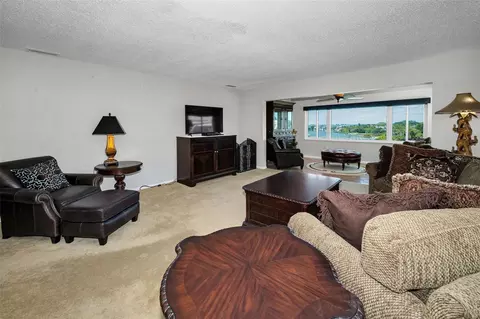 Living - 100 Bluff View Dr #514C, Belleair Bluffs, FL 33770 photo 3 of 6