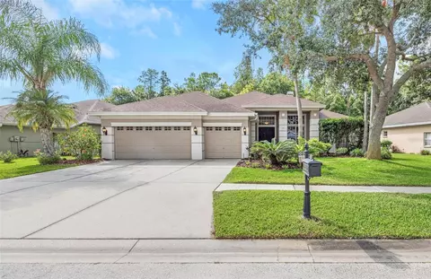 10326 Millport Dr, Tampa, FL 33626