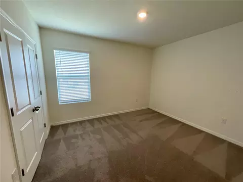 Bedroom - 33409 Field Maple Loop, Wesley Chapel, FL 33545 photo 6 of 6