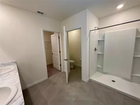 Bath - 33409 Field Maple Loop, Wesley Chapel, FL 33545 photo 3 of 5