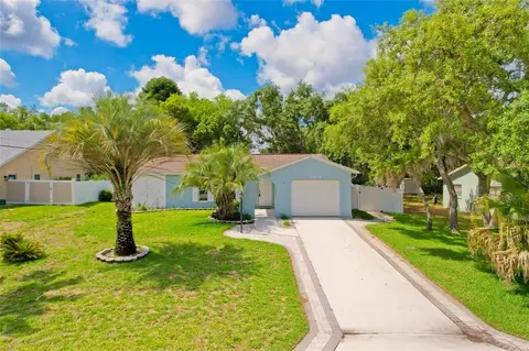 8218 Placid St, Spring Hill, FL 34606
