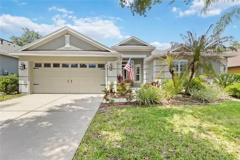 6110 Whimbrelwood Dr, Lithia, FL 33547