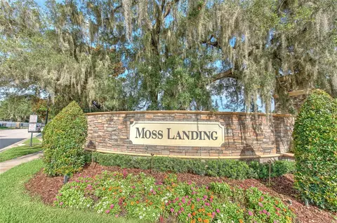 View/Area - 11136 Running Pine Dr, Riverview, FL 33569 photo 1 of 1