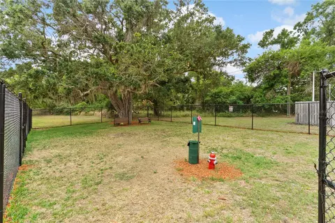 9426 Star Gazer Ln, Riverview, FL 33578 photo 28