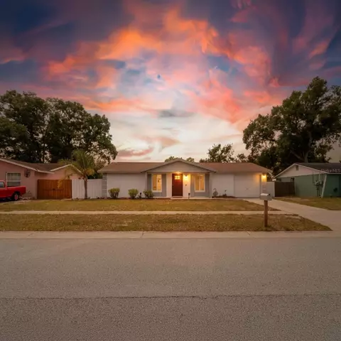 2207 Selkirk St, Valrico, FL 33594