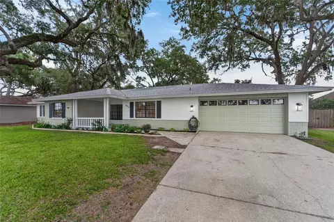 903 Old Darby St, Seffner, FL 33584 photo 4